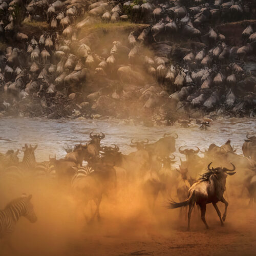 Panos-Laskarakis-Masai-mara-river-during-the-Great-Migration2