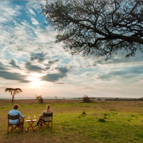 Sundowners-at-tree